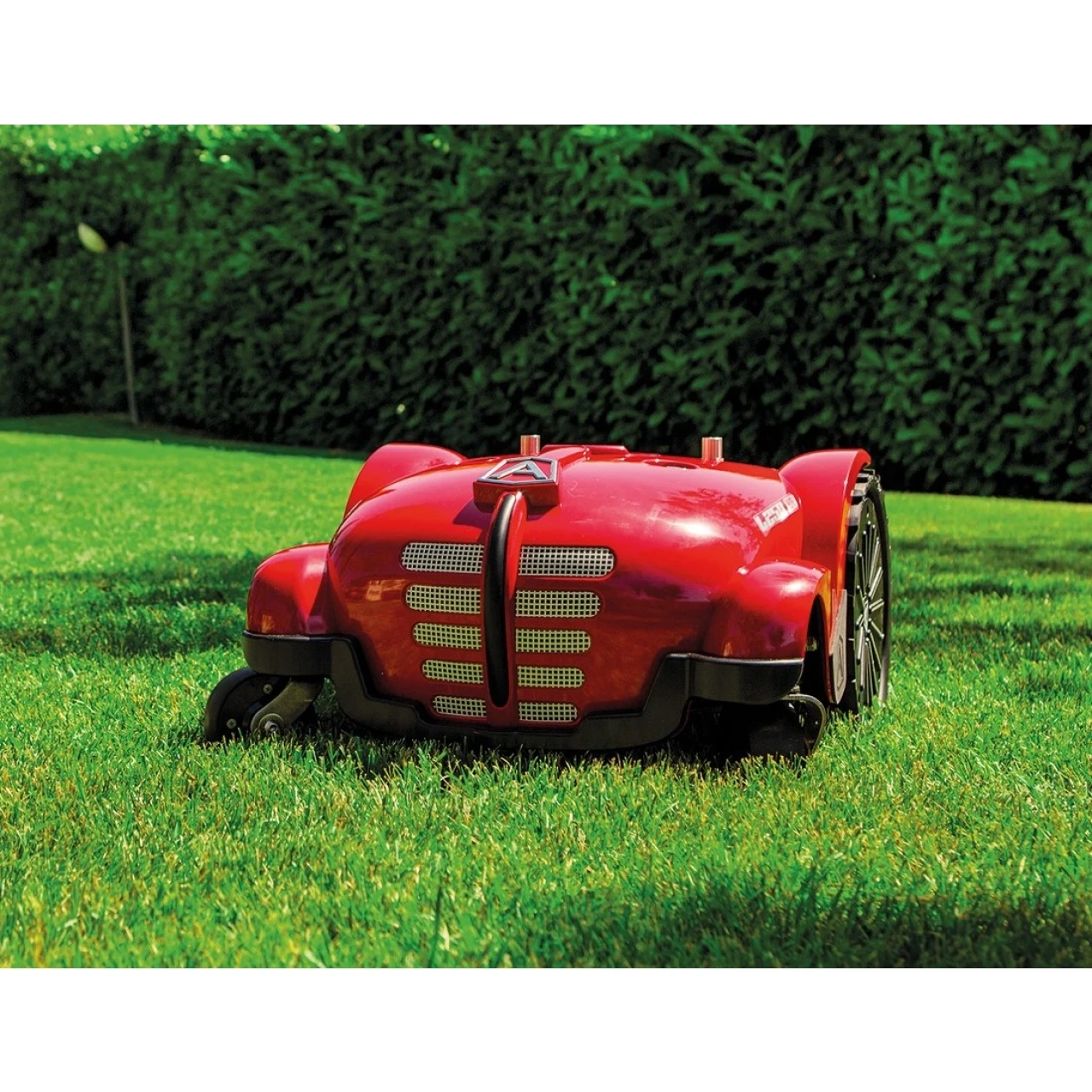 Mähroboter L250i Elite 4 Mähroboter L250i Elite – Bild 2