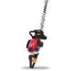 Benzin-Heckenschere HT238D 2 Benzin-Heckenschere HT238D -Geschäft Für Gartentechnikbedarf 38124 Maruyama 700362427