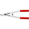 Felco Zweihand-Baumschere - Länge 43 Cm -Geschäft Für Gartentechnikbedarf 51302 Felco FELCO20